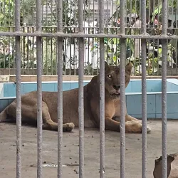 Karachi Zoo - Karachi