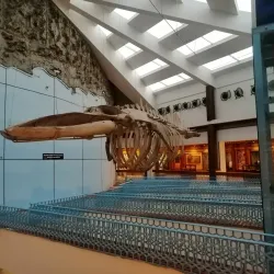 Pakistan Maritime Museum - Karachi