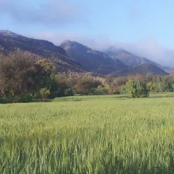 Teri Village - Karak