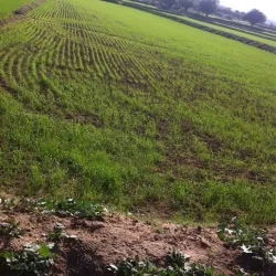 Teri Village - Karak