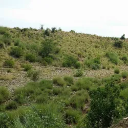 Teri Village - Karak