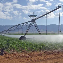 Agricultural Fields Surrounding Khanewal - Khanewal