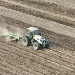 Agricultural Fields Surrounding Khanewal - Khanewal