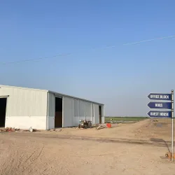 Agricultural Fields Surrounding Khanewal - Khanewal