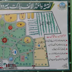 Local Parks and Green Spaces - Khanewal