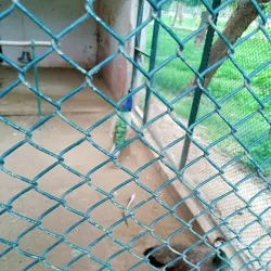 Local Parks and Green Spaces - Khanewal