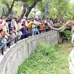 Lahore Zoo - Lahore