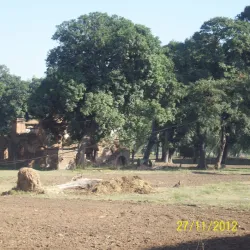 Chak No. 1 Market - Layyah