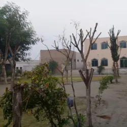 Historical Mosque of Layyah - Layyah