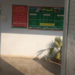 Layyah Agricultural Research Station - Layyah