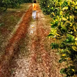 Layyah Fort - Layyah