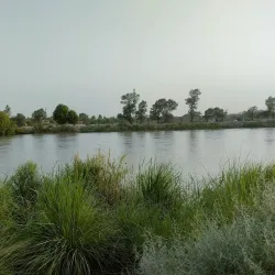 Layyah Fort - Layyah