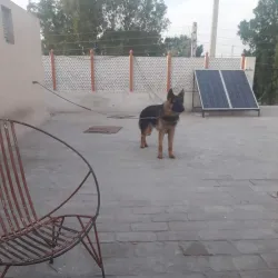 Layyah Public Park - Layyah