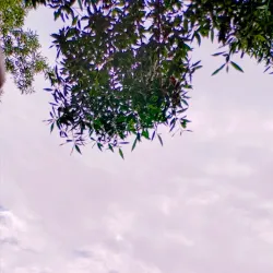 Layyah Public Park - Layyah