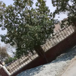 Layyah Public Park - Layyah