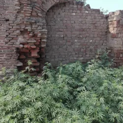 Gurdwara Bhai Bannu Sahib - Mandi Bahauddin