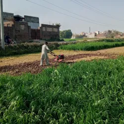 Local Bazaars - Mandi Bahauddin