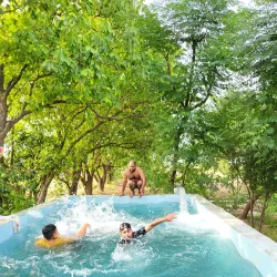 Local Agricultural Fields - Mehar