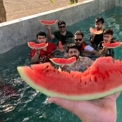 Local Agricultural Fields - Mehar