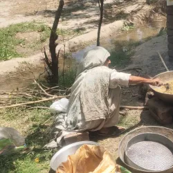 Local Agricultural Fields - Mehar