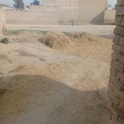 Mehar Bazaar - Mehar