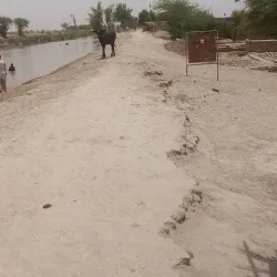 Mehar Canal - Mehar