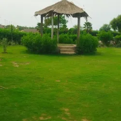 Mirpur Khas Mango Festival - Mirpur Khas