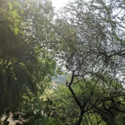 Bagh-e-Jinnah Park - Mirpur