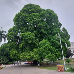 Bagh-e-Jinnah Park - Mirpur