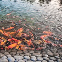 Mangla Viewpoint - Mirpur