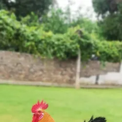 Mangla Viewpoint - Mirpur