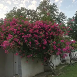 Mangla Viewpoint - Mirpur