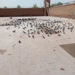 Shrine of Bahauddin Zakariya - Multan