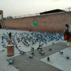 Shrine of Bahauddin Zakariya - Multan
