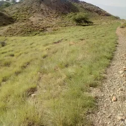 Cherat Hills - Nowshera