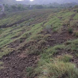 Cherat Hills - Nowshera