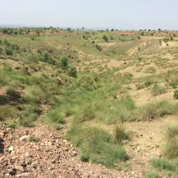 Cherat Hills - Nowshera