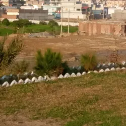 Nowshera Cantonment - Nowshera