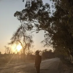 Chak 5 Canal Park - Okara