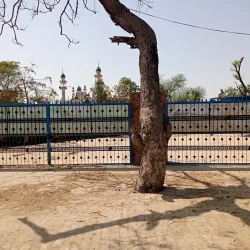 Pakpattan Fort (Qila Pakpattan) - Pakpattan