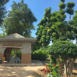 Local Nurseries and Gardens - Pattoki