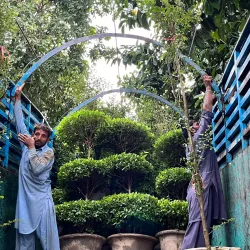 Local Nurseries and Gardens - Pattoki