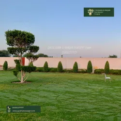 Local Nurseries and Gardens - Pattoki