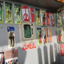 Pattoki Flower Market - Pattoki