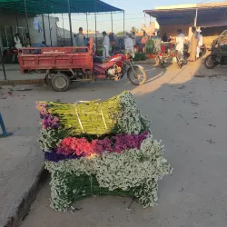 Pattoki Flower Market - Pattoki