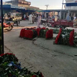 Pattoki Flower Market - Pattoki