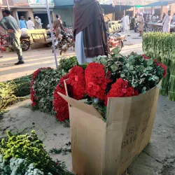 Pattoki Flower Market - Pattoki