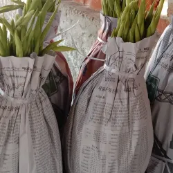 Pattoki Flower Market - Pattoki