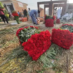 Pattoki Flower Market - Pattoki