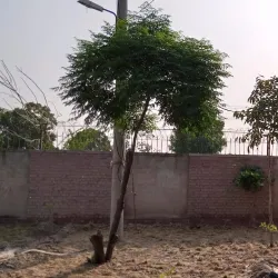 Pattoki Sports Complex - Pattoki